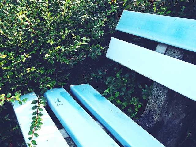 争夺总冠军 争夺总冠军