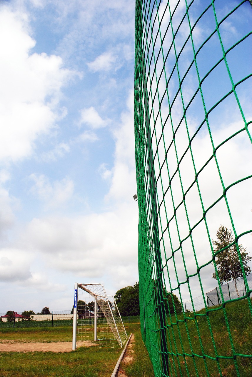 供了更多的 供了更多的