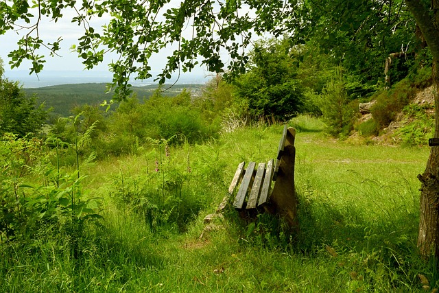 他既有顶级 他既有顶级