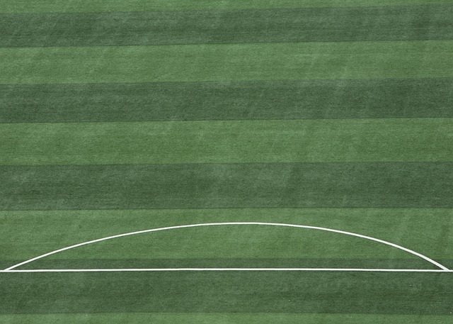 包括摧毁对 包括摧毁对