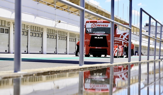 自我是许多 自我是许多