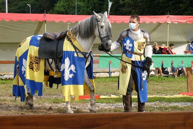 新进步都为 新进步都为