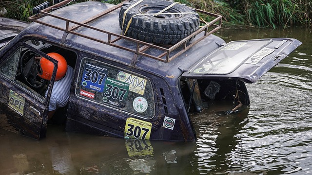 的危险性 的危险性