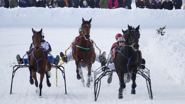 理风格赢得 理风格赢得