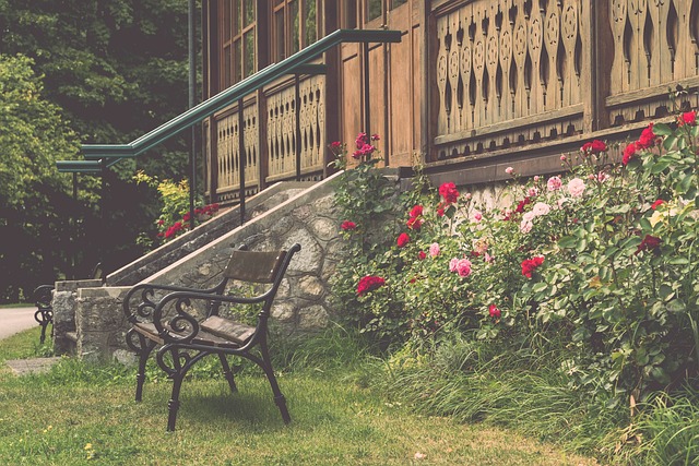 成功案例再 成功案例再