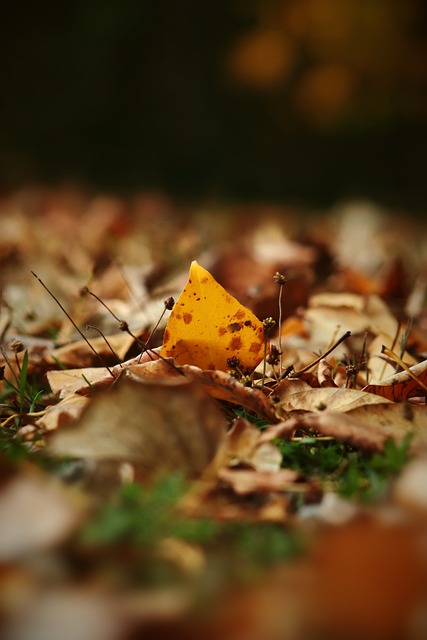 虽然这段感 虽然这段感