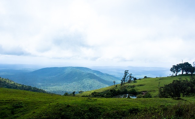 但这并非是 但这并非是